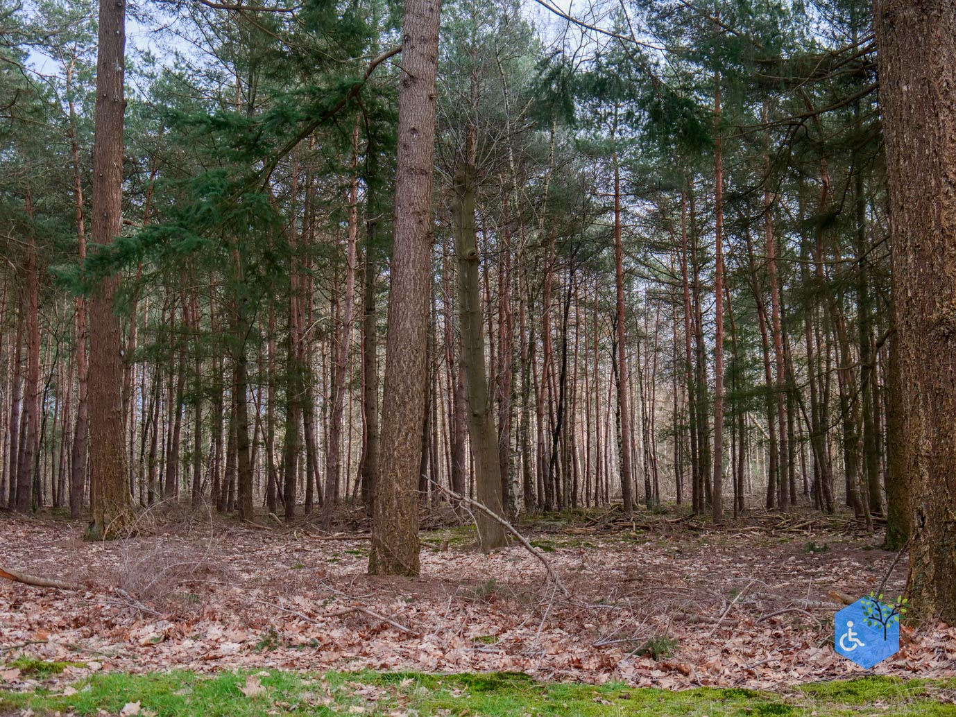 Haarle_Familieroute_De_Sprengenberg_19-03-2023-05
