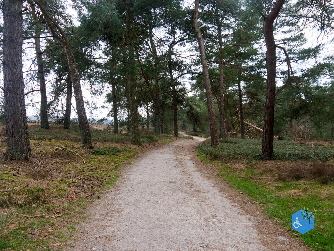 Haarle_Familieroute_De_Sprengenberg_19-03-2023-24