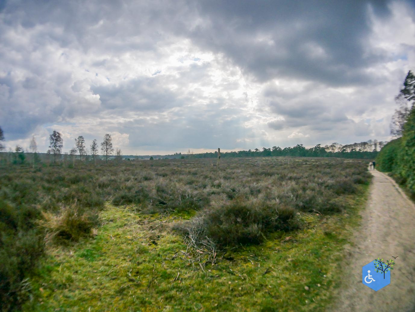 Haarle_Familieroute_De_Sprengenberg_19-03-2023-39