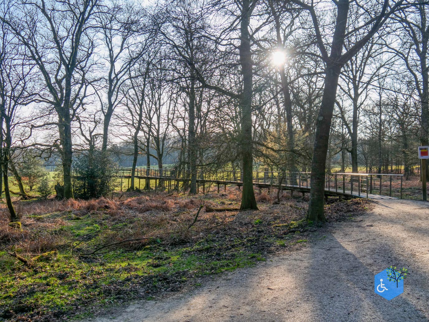Rheden_Rolstoelpad_Heuvense_Bergen_05-04-2023-25