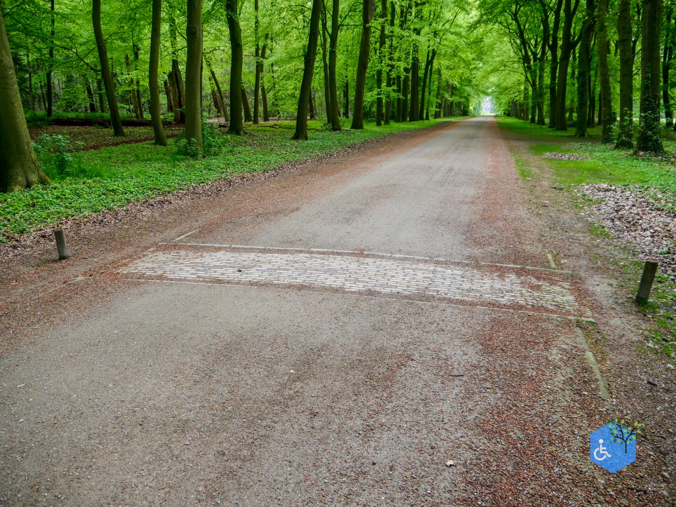 Doorn_Landgoed_Moersbergen_07-05-2023-05
