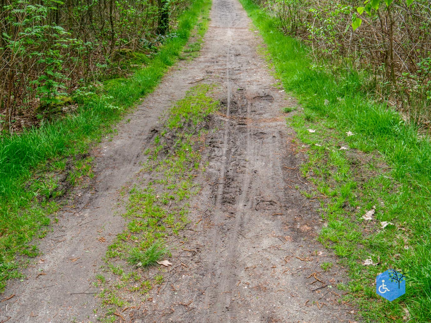 Doorn_Landgoed_Moersbergen_07-05-2023-12