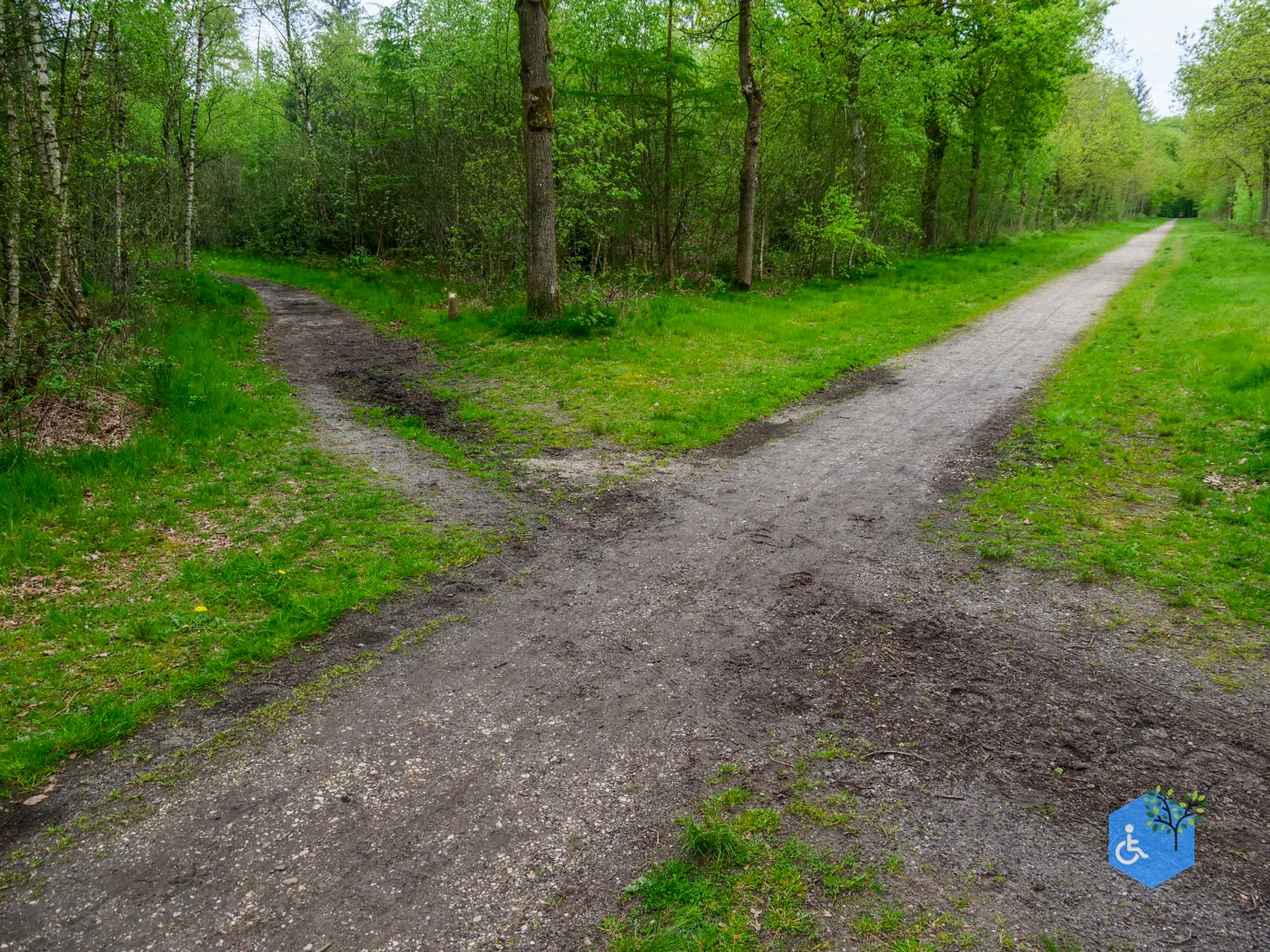 Doorn_Landgoed_Moersbergen_07-05-2023-14