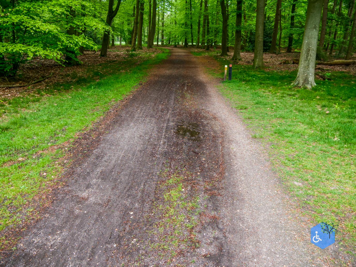 Doorn_Landgoed_Moersbergen_07-05-2023-15