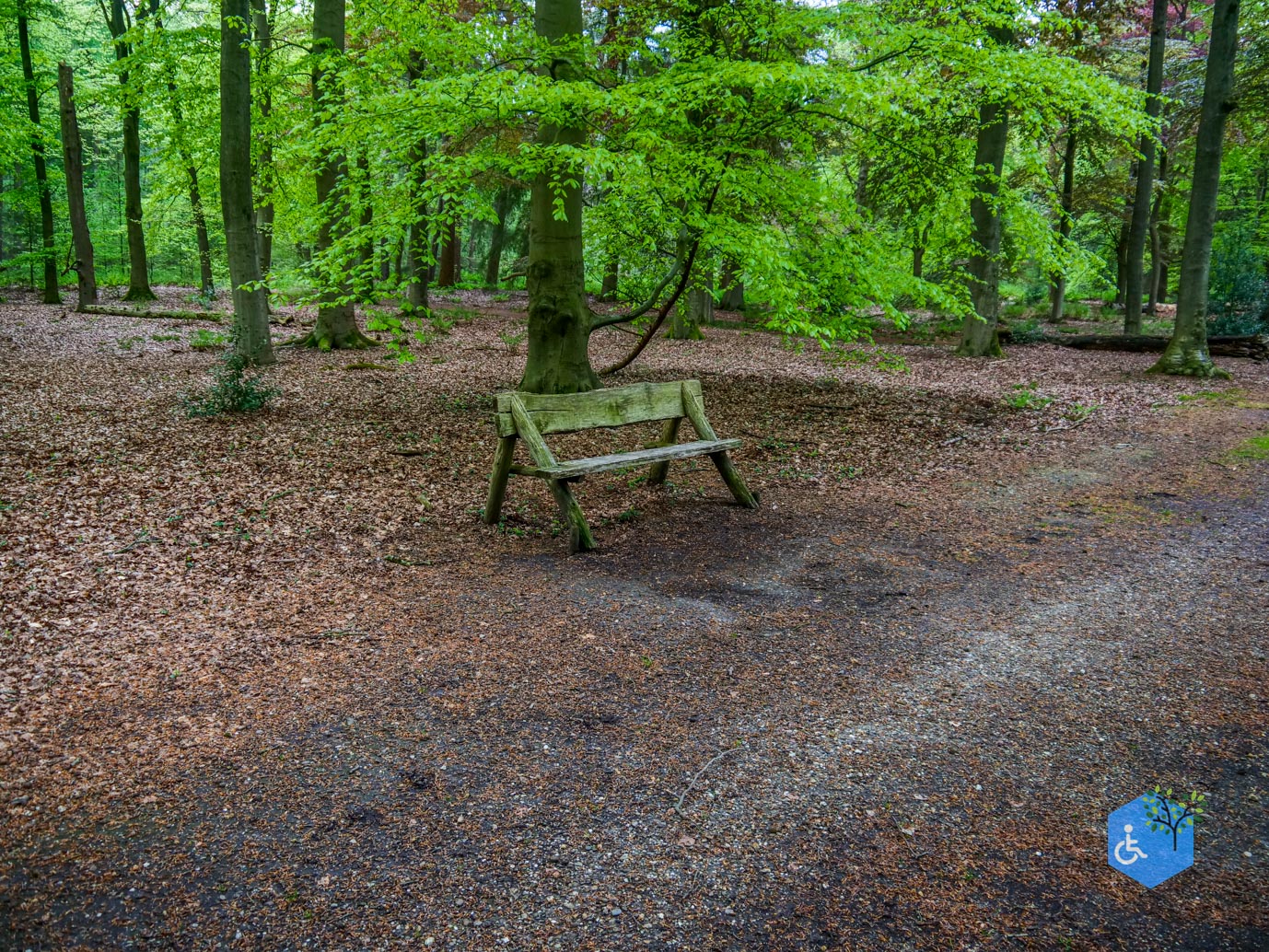 Doorn_Landgoed_Moersbergen_07-05-2023-16