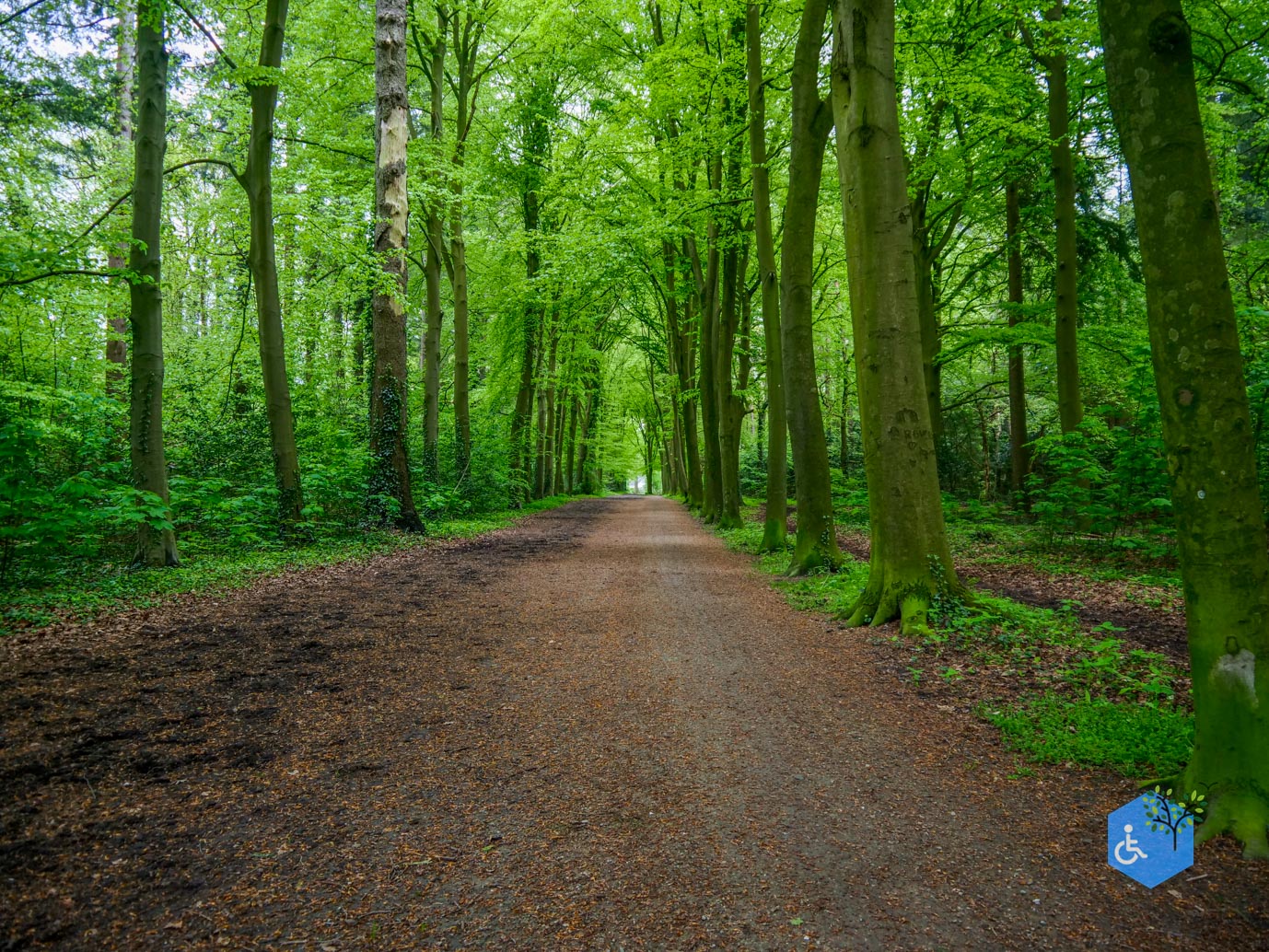 Doorn_Landgoed_Moersbergen_07-05-2023-18