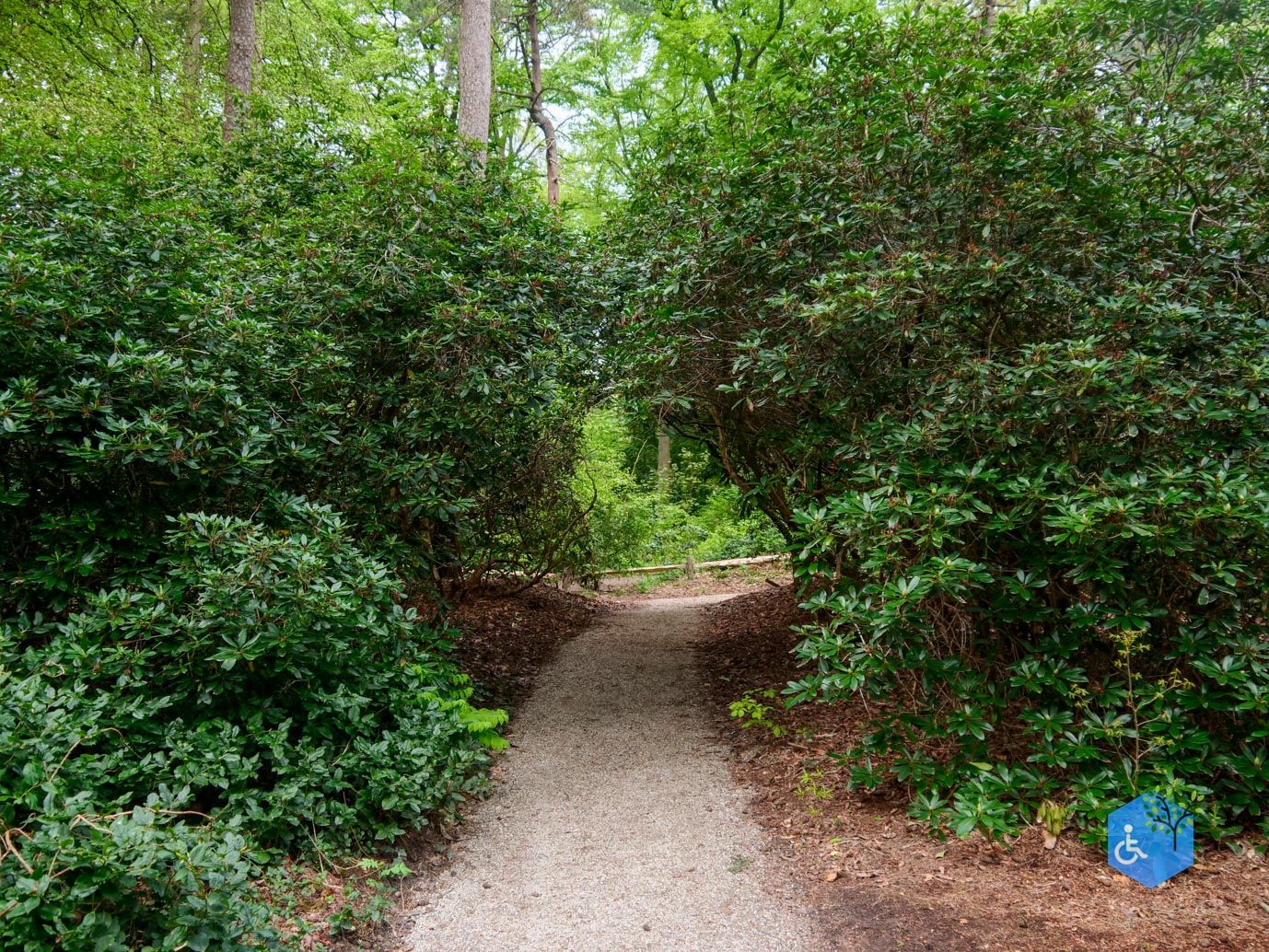 Driebergen_Heidetuin_07-05-2023-19