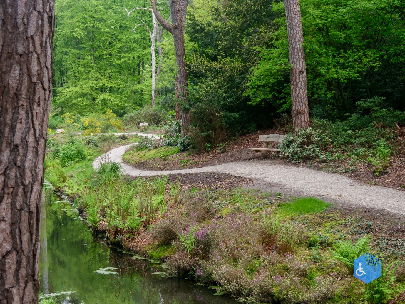 Driebergen_Heidetuin_07-05-2023-21