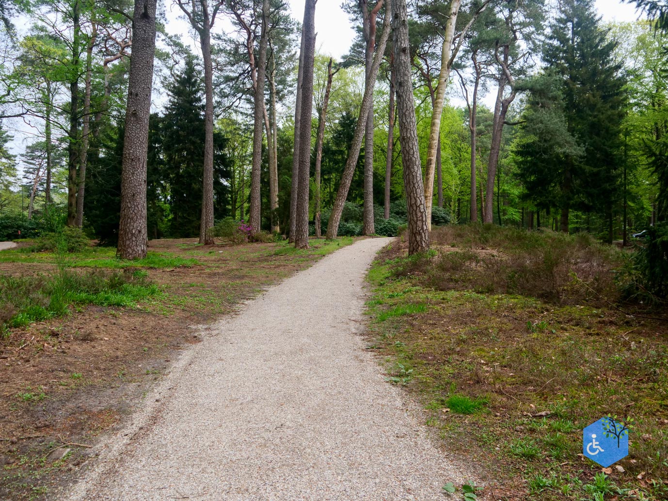 Driebergen_Heidetuin_07-05-2023-24