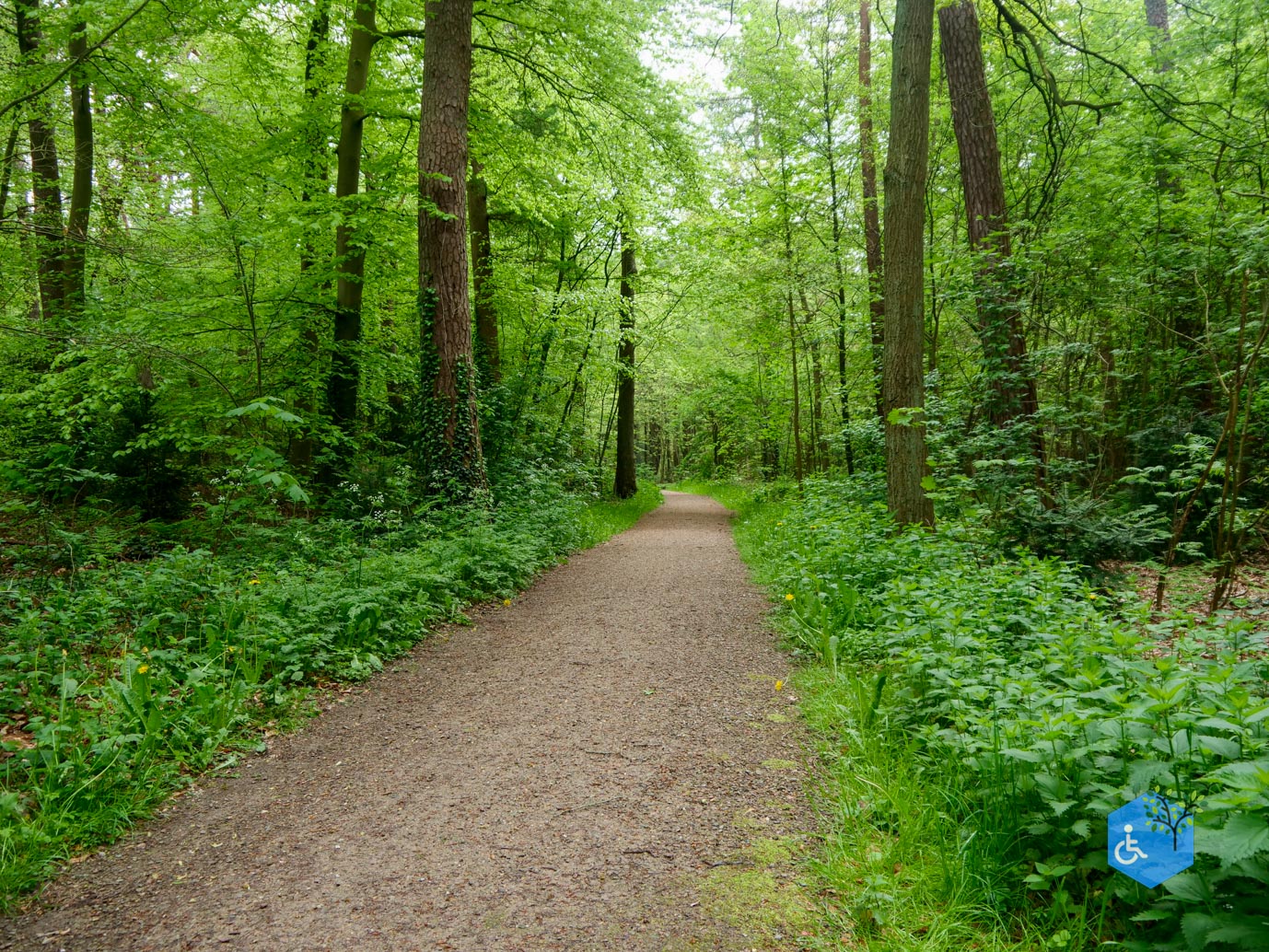 Driebergen_Heidetuin_07-05-2023-31