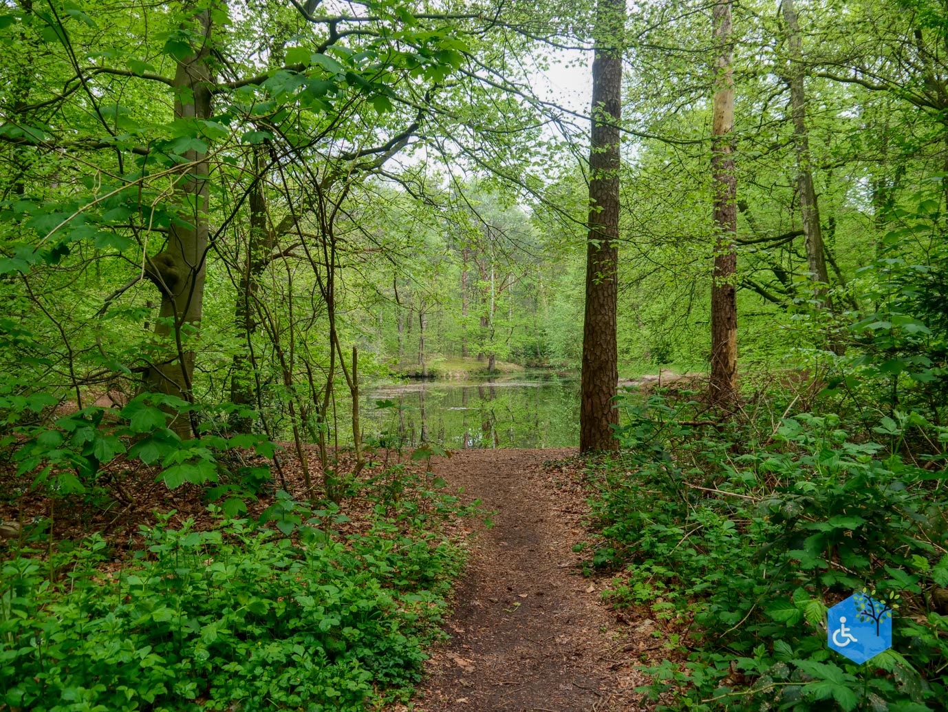 Driebergen_Heidetuin_07-05-2023-32