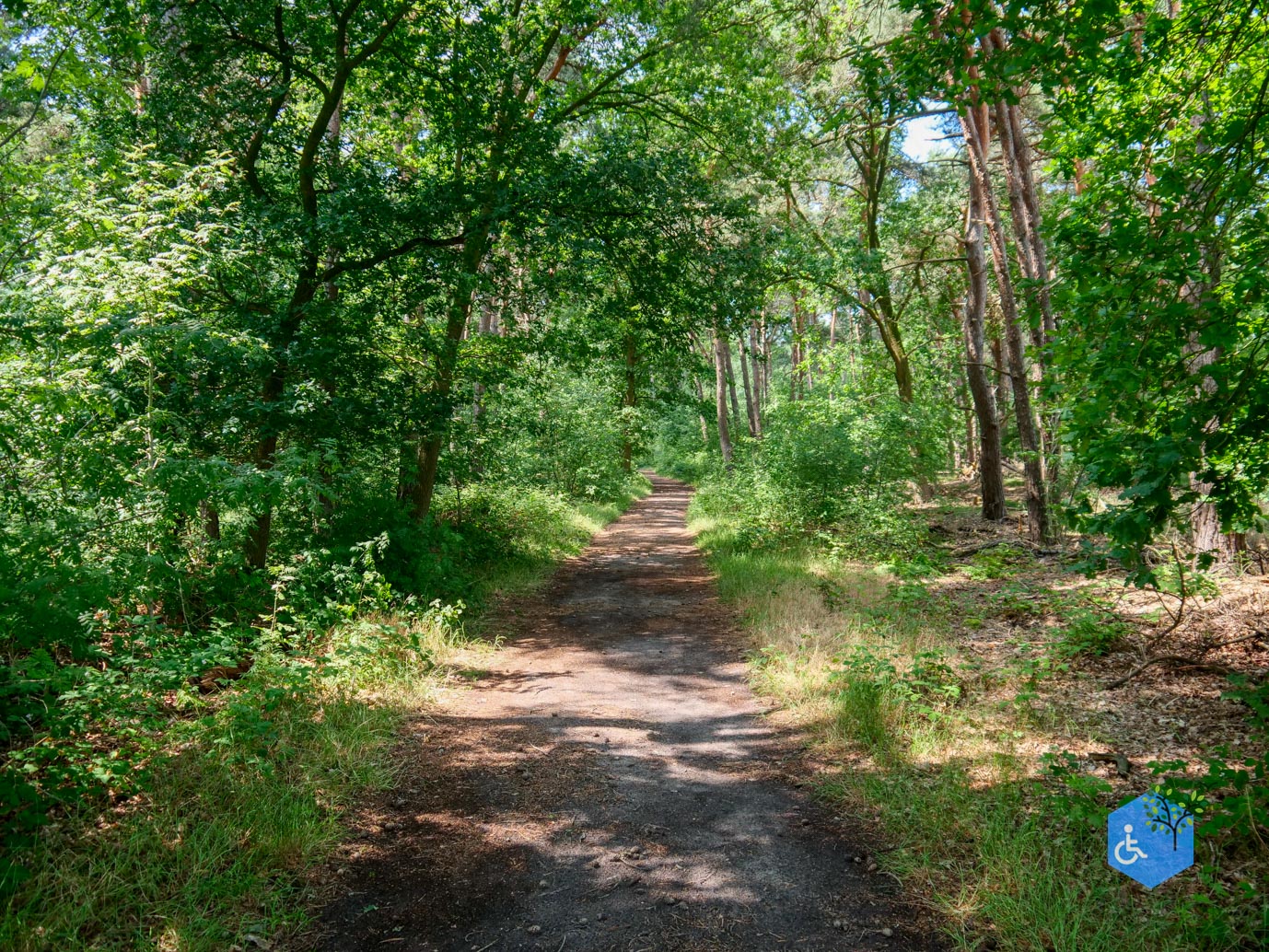 De_Moer_Wandelroute_naar_het_Leikeven_23-06-2023-09