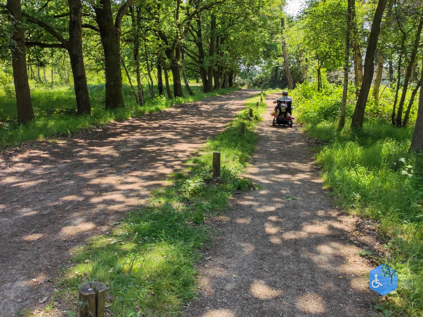 De_Moer_Wandelroute_naar_het_Leikeven_getipt_23-06-2023-4