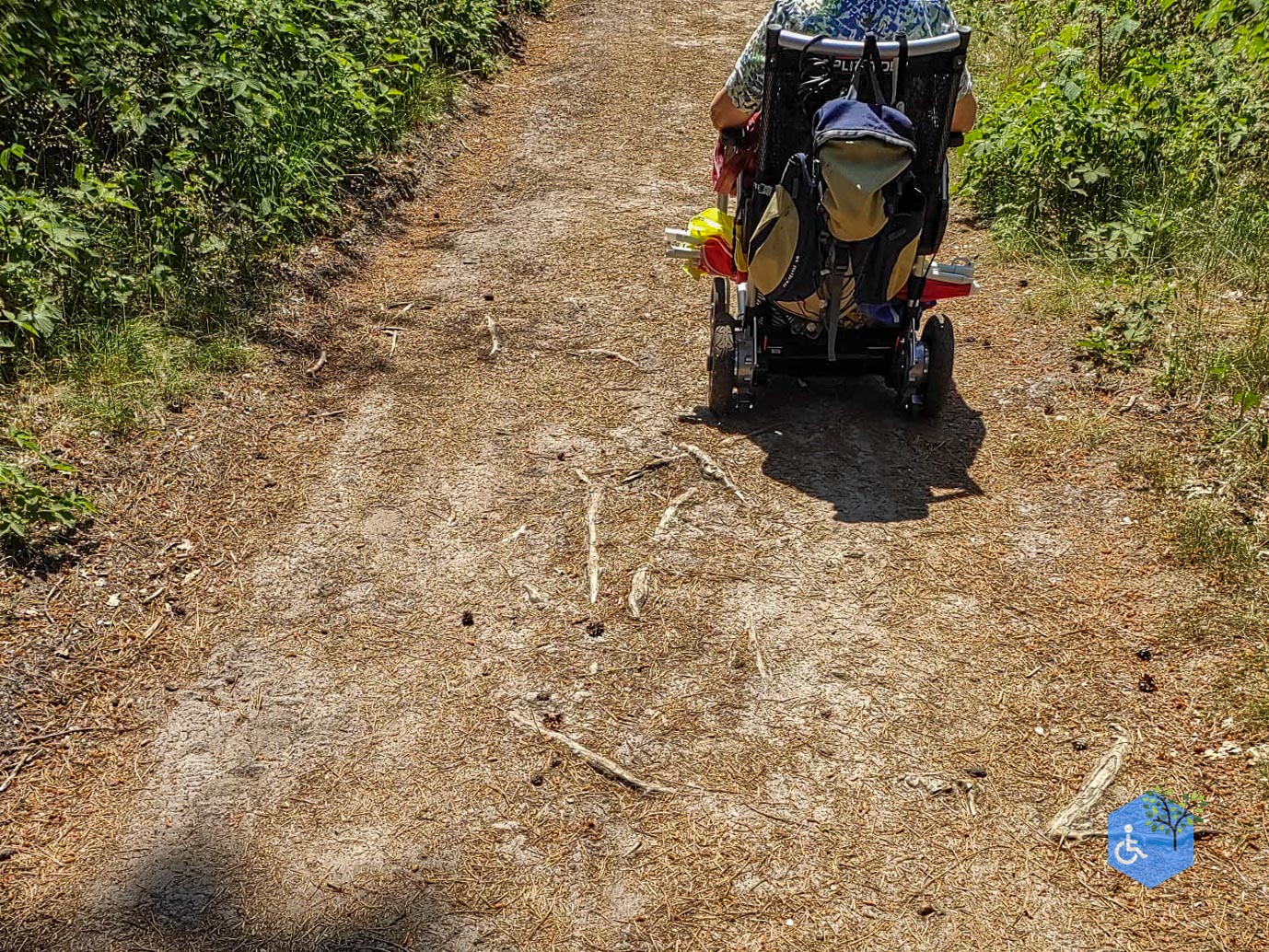 De_Moer_Wandelroute_naar_het_Leikeven_getipt_23-06-2023-6