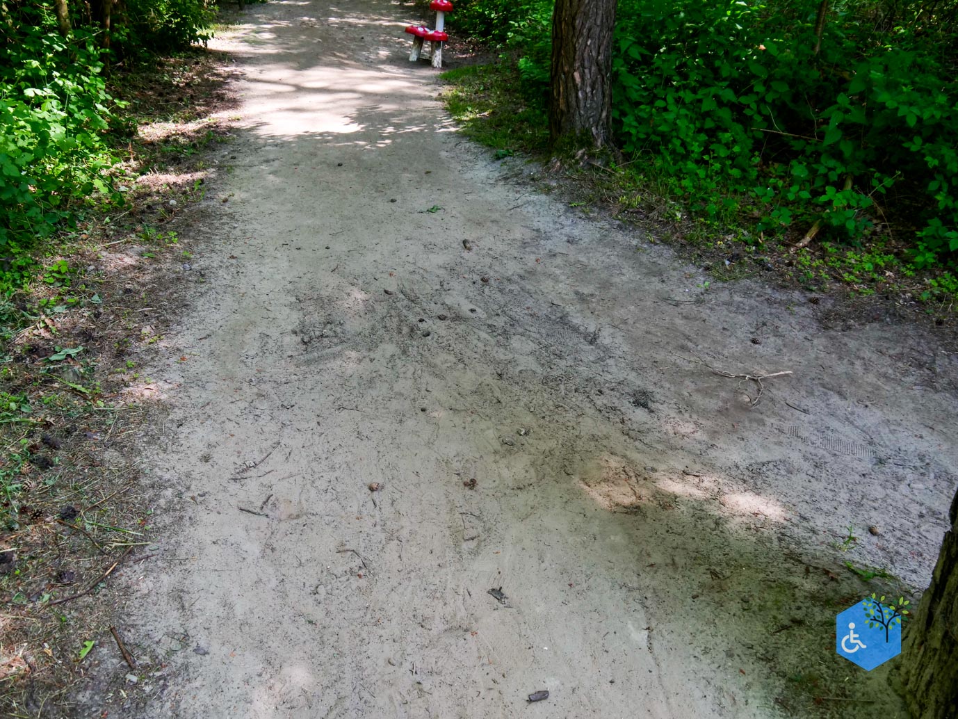 Dronten_Het_Grote_Kabouterbos_28-05-2023-04