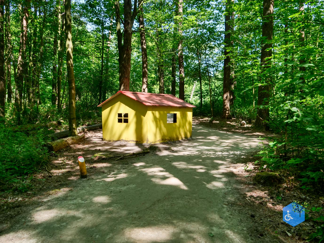 Dronten_Het_Grote_Kabouterbos_28-05-2023-11