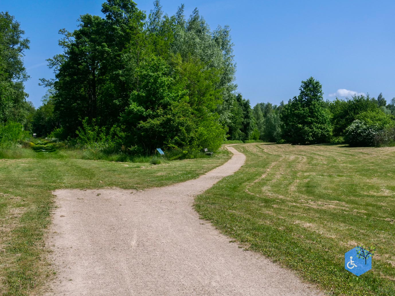 Dronten_Levensloopbos_28-05-2023-07