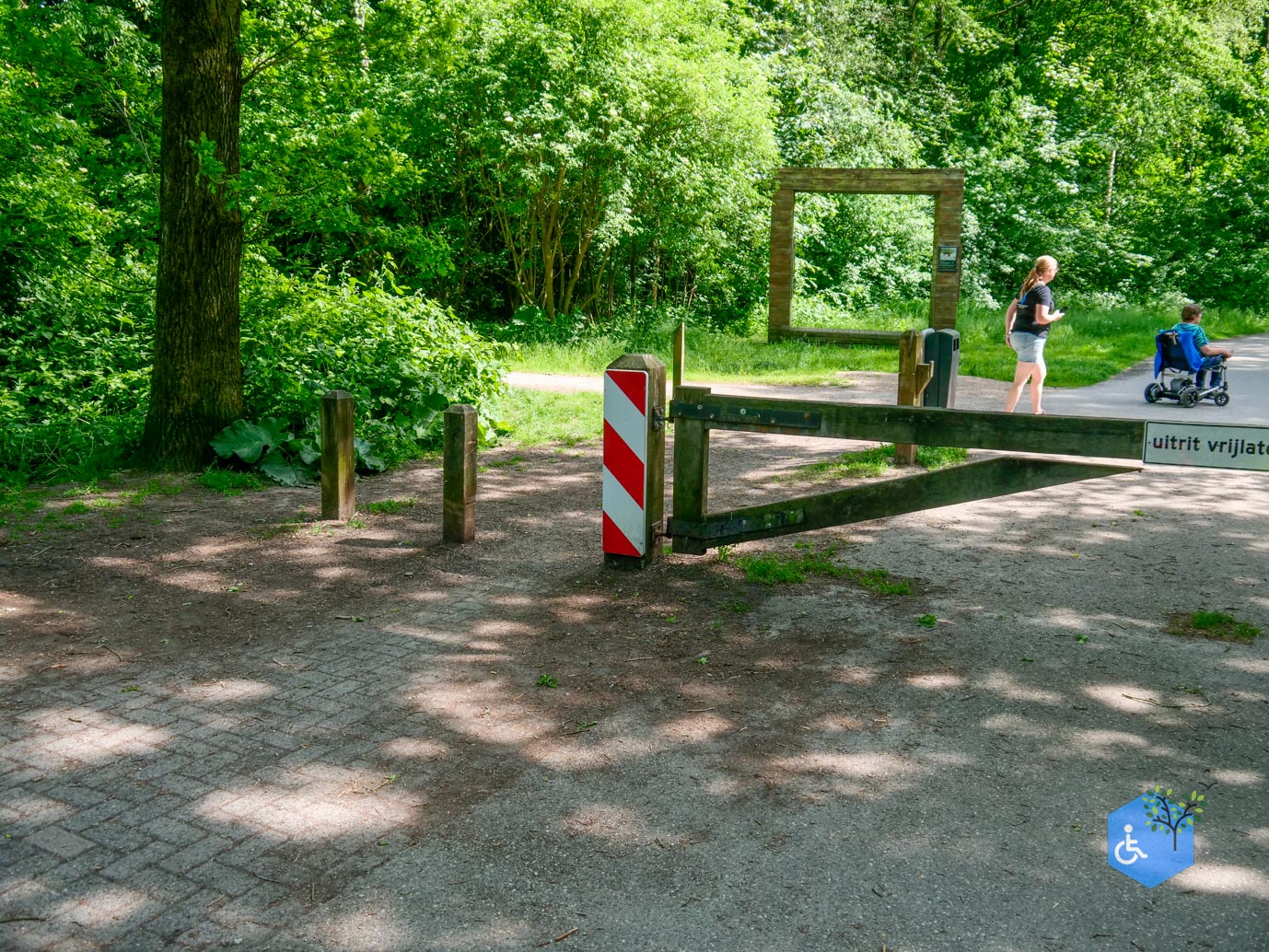 Dronten_Mindervalidenpad_Wisentbos_28-05-2023-02
