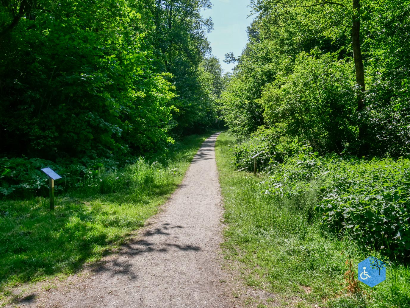 Dronten_Mindervalidenpad_Wisentbos_28-05-2023-05