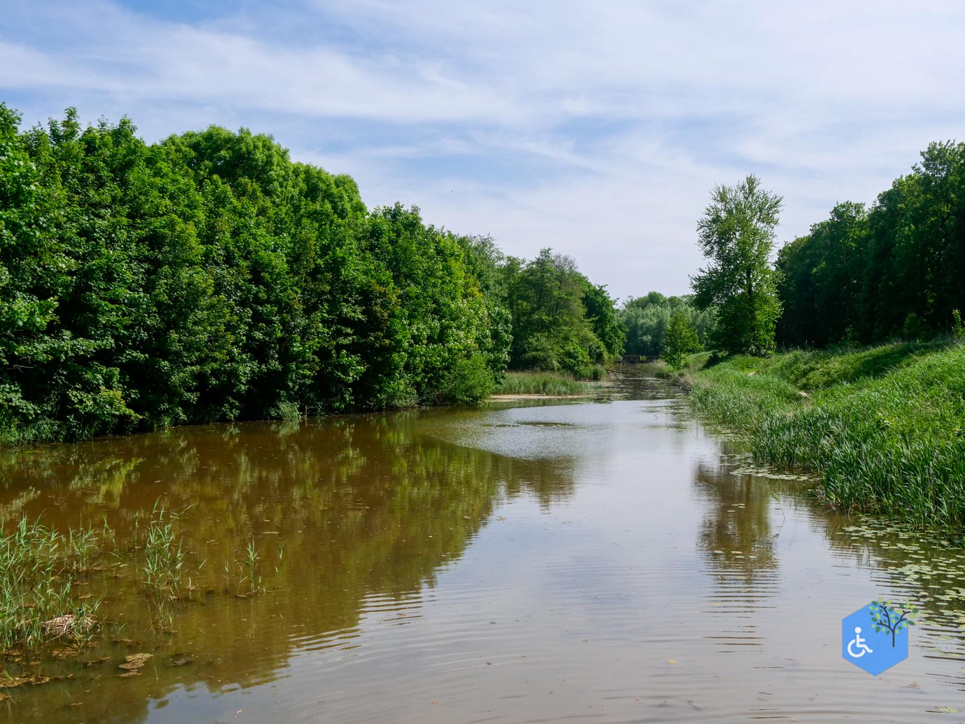 Dronten_Mindervalidenpad_Wisentbos_28-05-2023-09