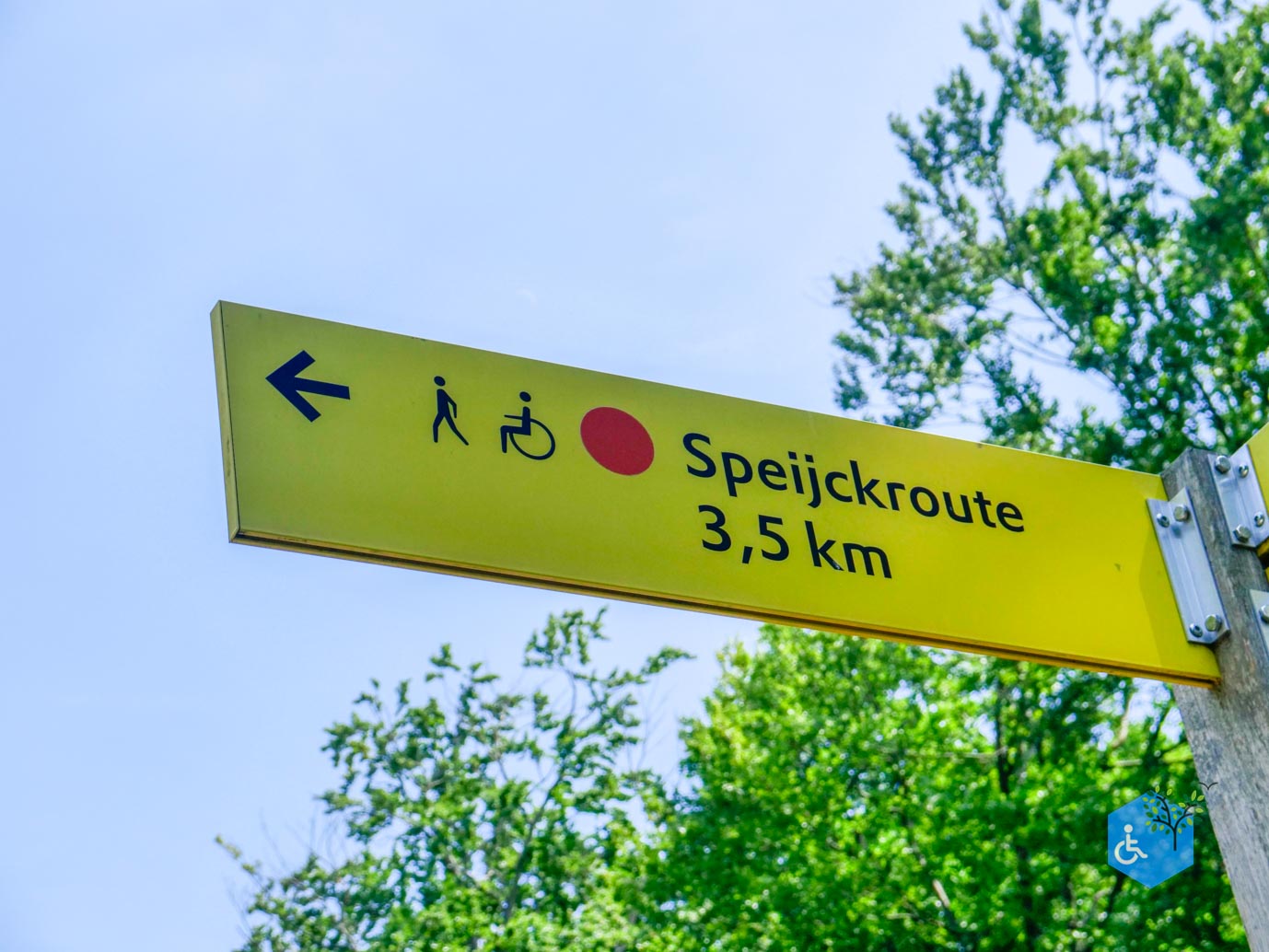 Oisterwijk_Wandelroute_Groot_Speijck_23-06-2023-01