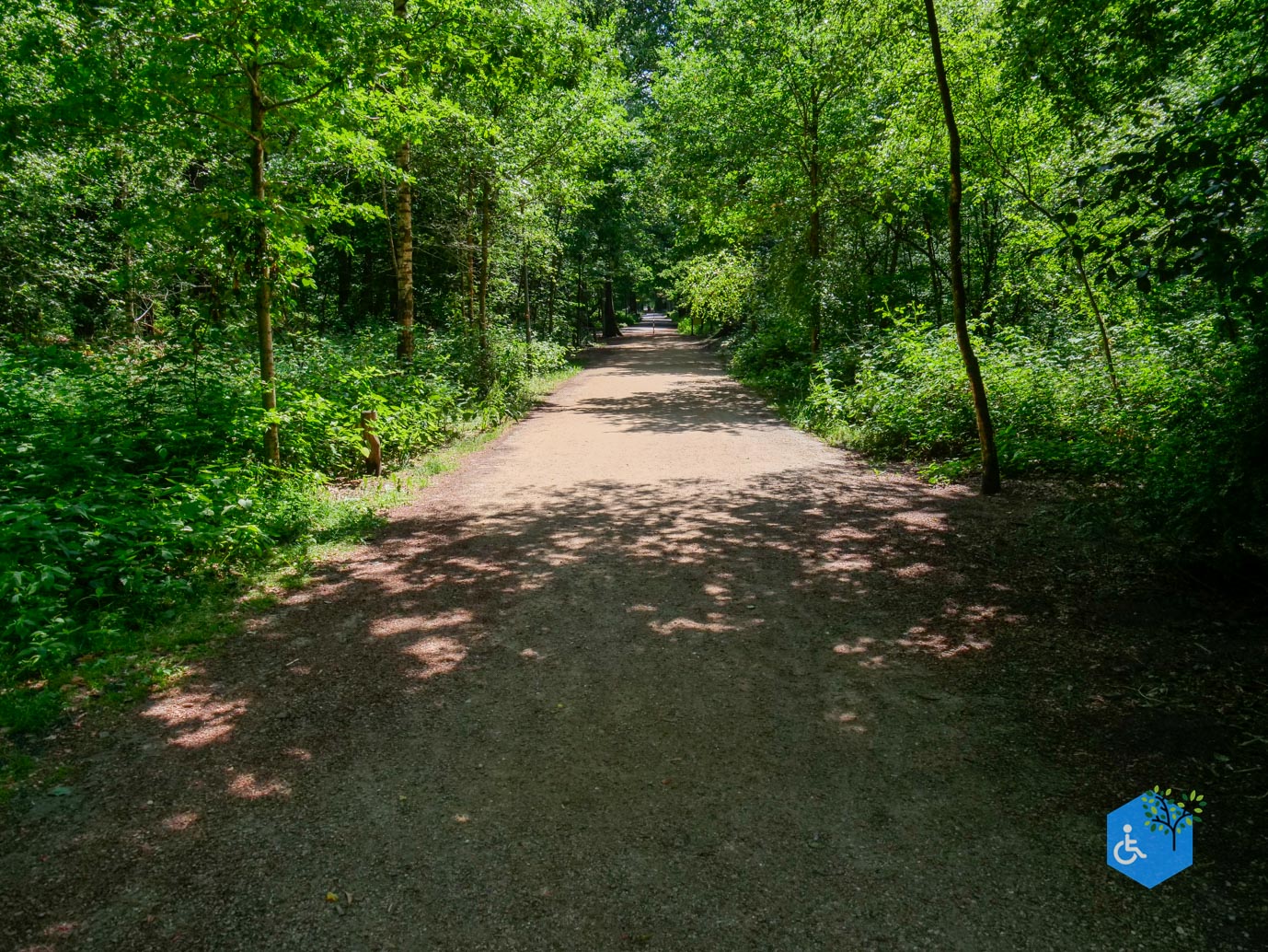 Oisterwijk_Wandelroute_Groot_Speijck_23-06-2023-03