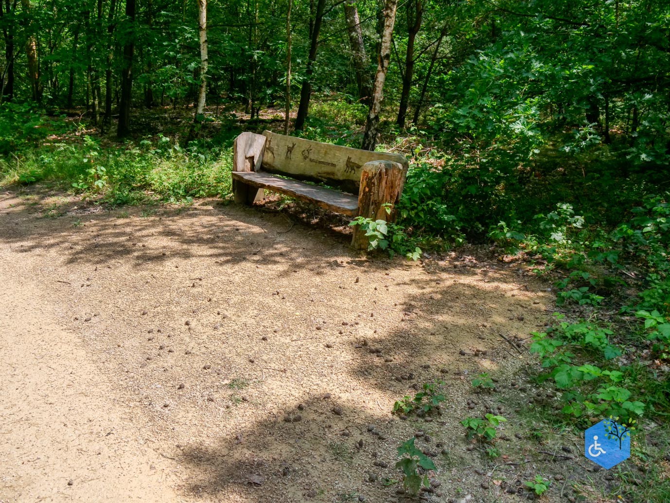 Oisterwijk_Wandelroute_Groot_Speijck_23-06-2023-08