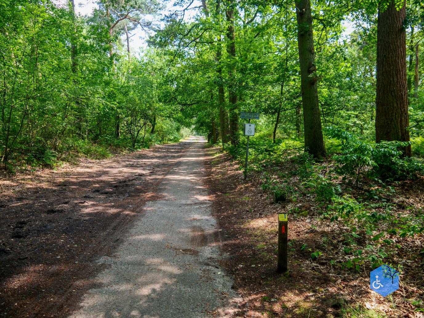 Oisterwijk_Wandelroute_Groot_Speijck_23-06-2023-13