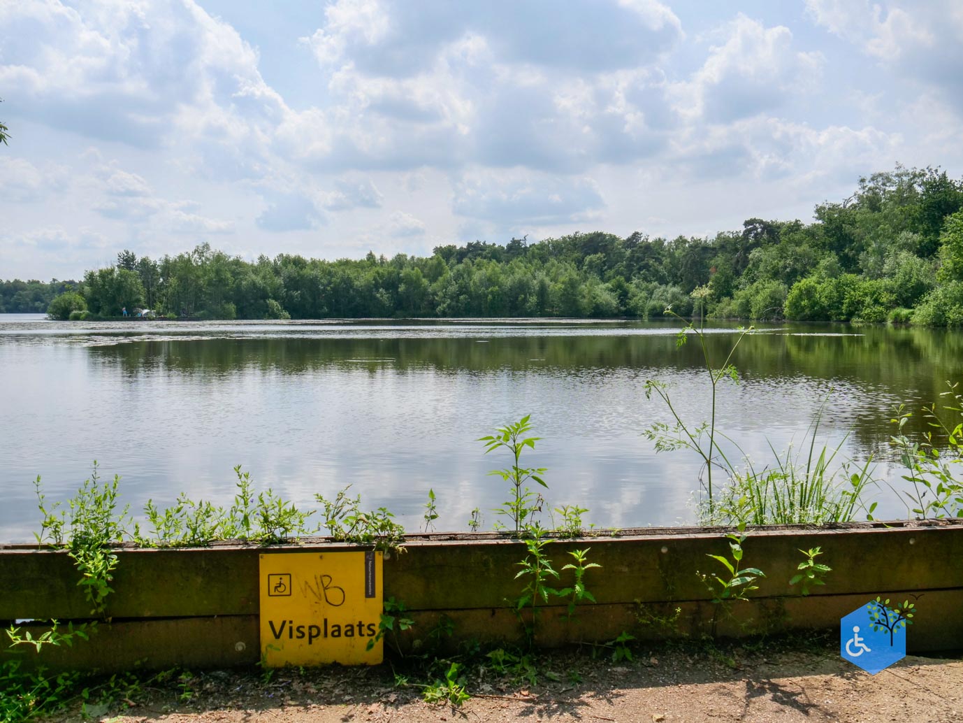 Oisterwijk_Wandelroute_Groot_Speijck_23-06-2023-15