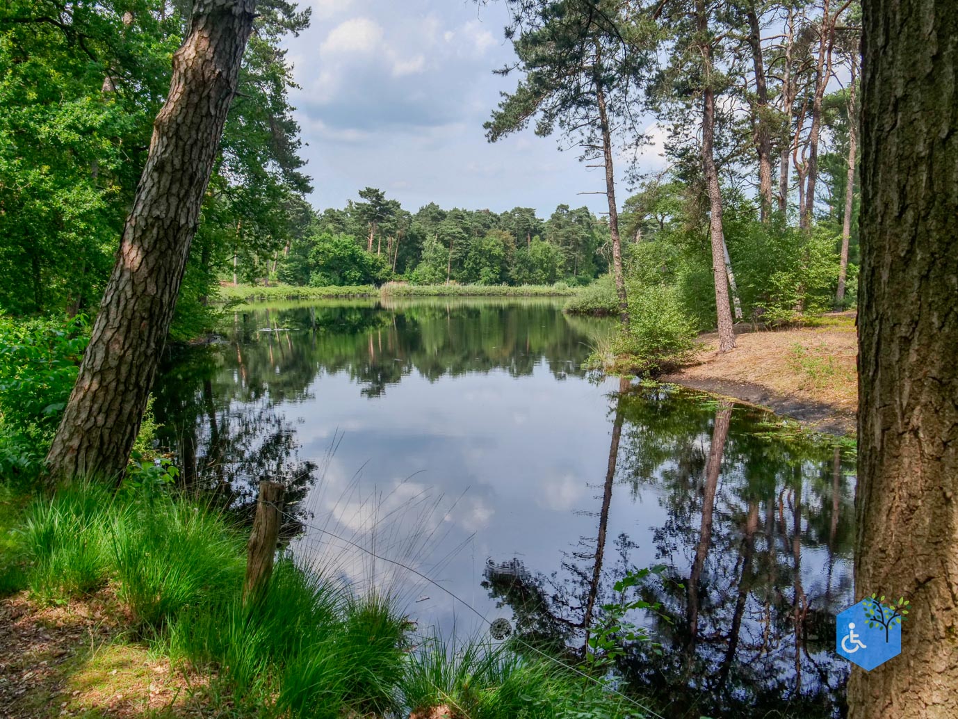 Oisterwijk_Wandelroute_Groot_Speijck_23-06-2023-17