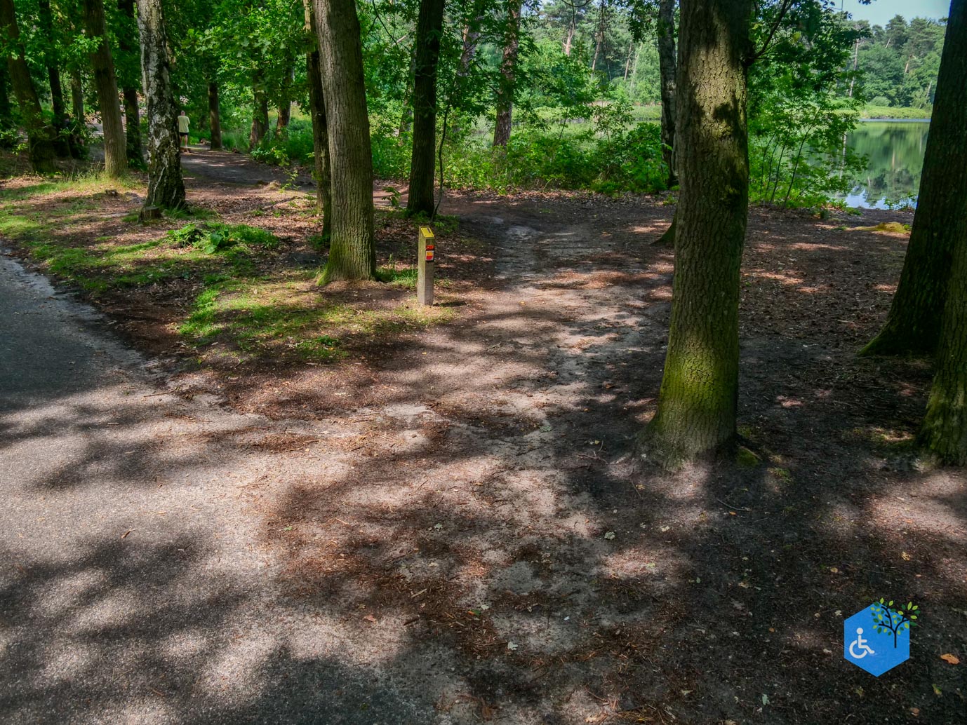 Oisterwijk_Wandelroute_Groot_Speijck_23-06-2023-18