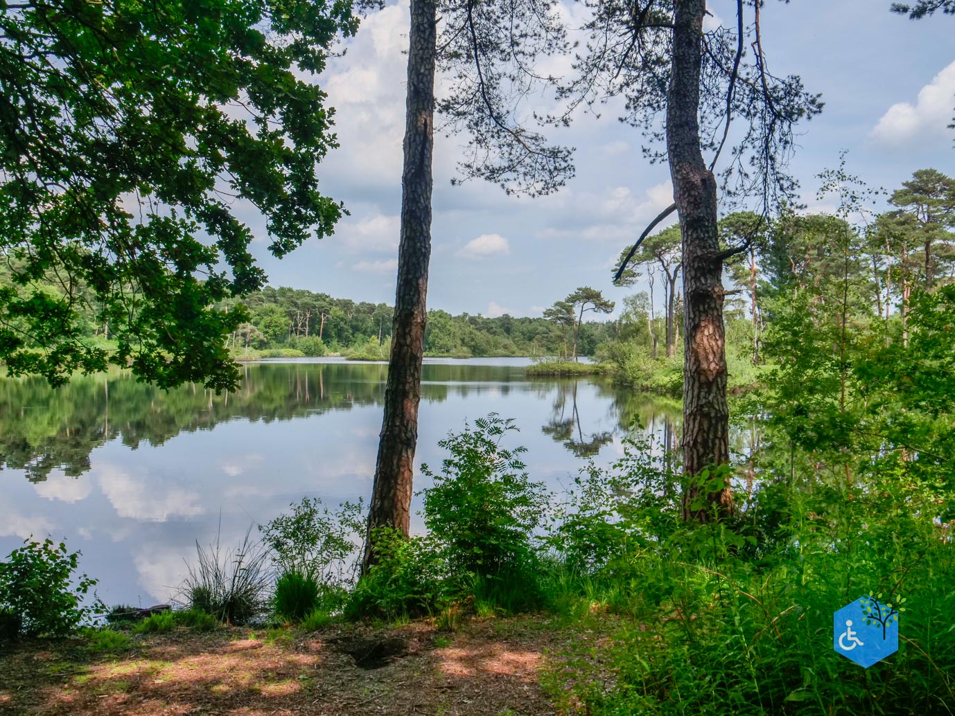 Oisterwijk_Wandelroute_Groot_Speijck_23-06-2023-19