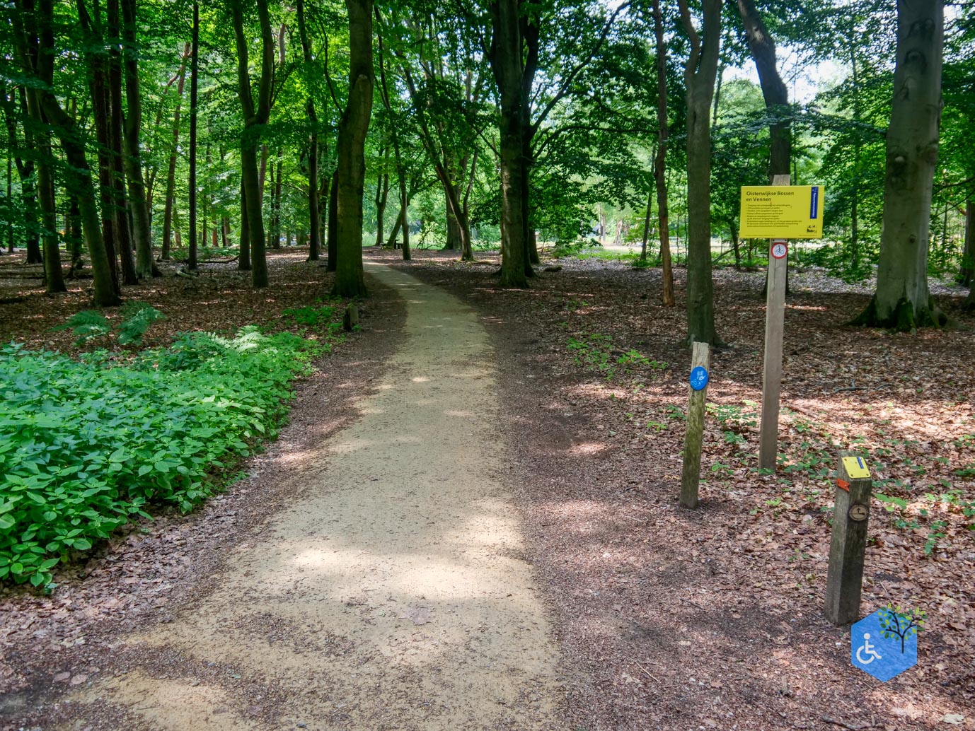 Oisterwijk_Wandelroute_Groot_Speijck_23-06-2023-23