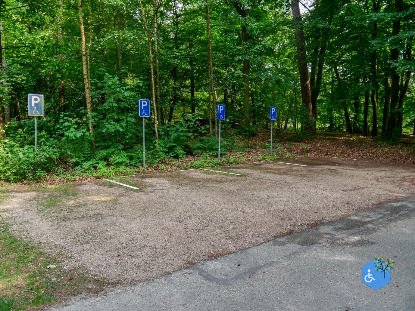 Oisterwijk_Wandelroute_Groot_Speijck_23-06-2023-24