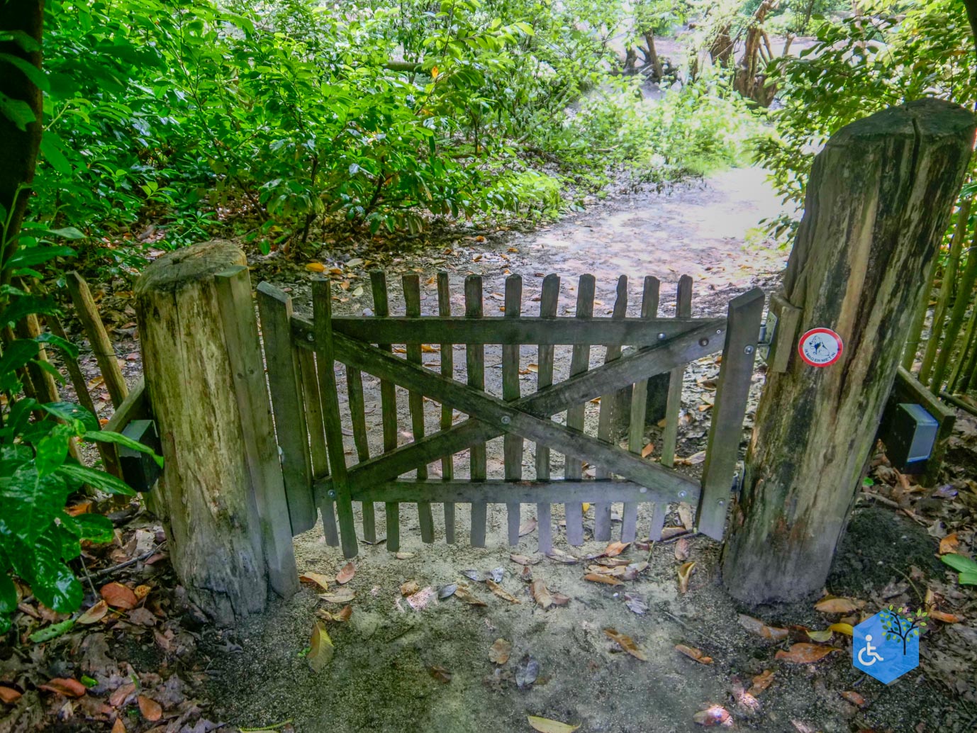Oisterwijk_Wandelroute_Groot_Speijck_23-06-2023-28