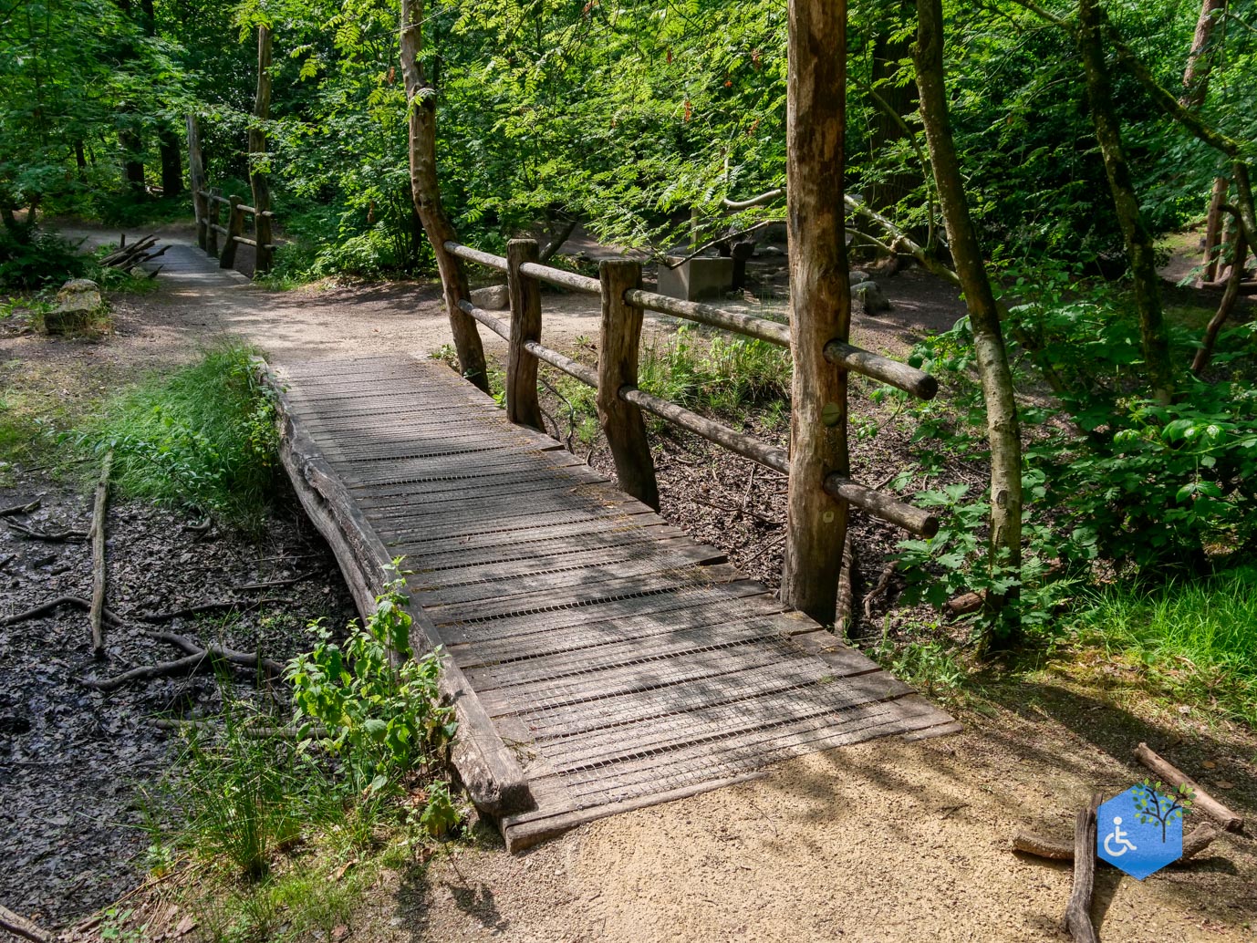 Oisterwijk_Wandelroute_Groot_Speijck_23-06-2023-29
