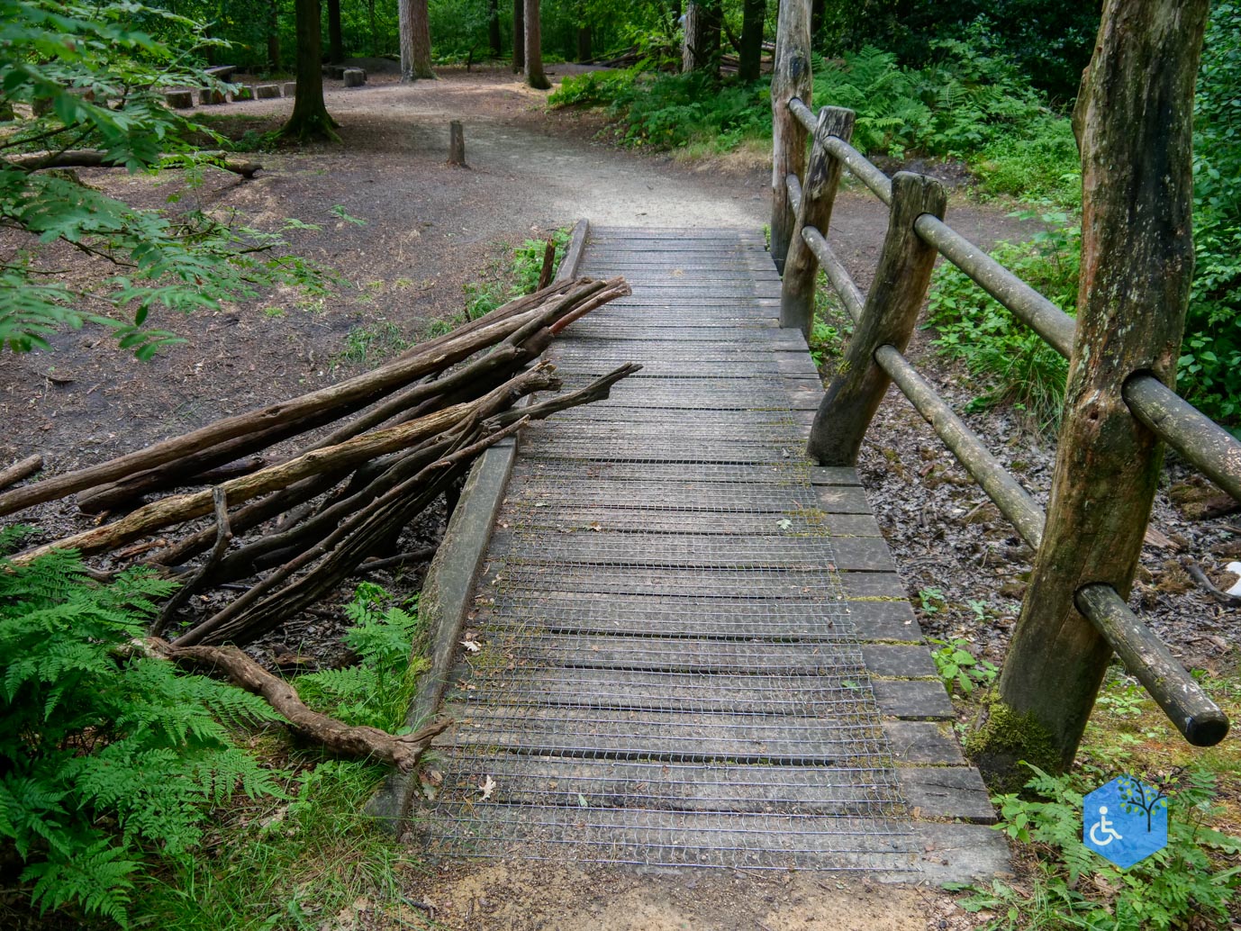 Oisterwijk_Wandelroute_Groot_Speijck_23-06-2023-31