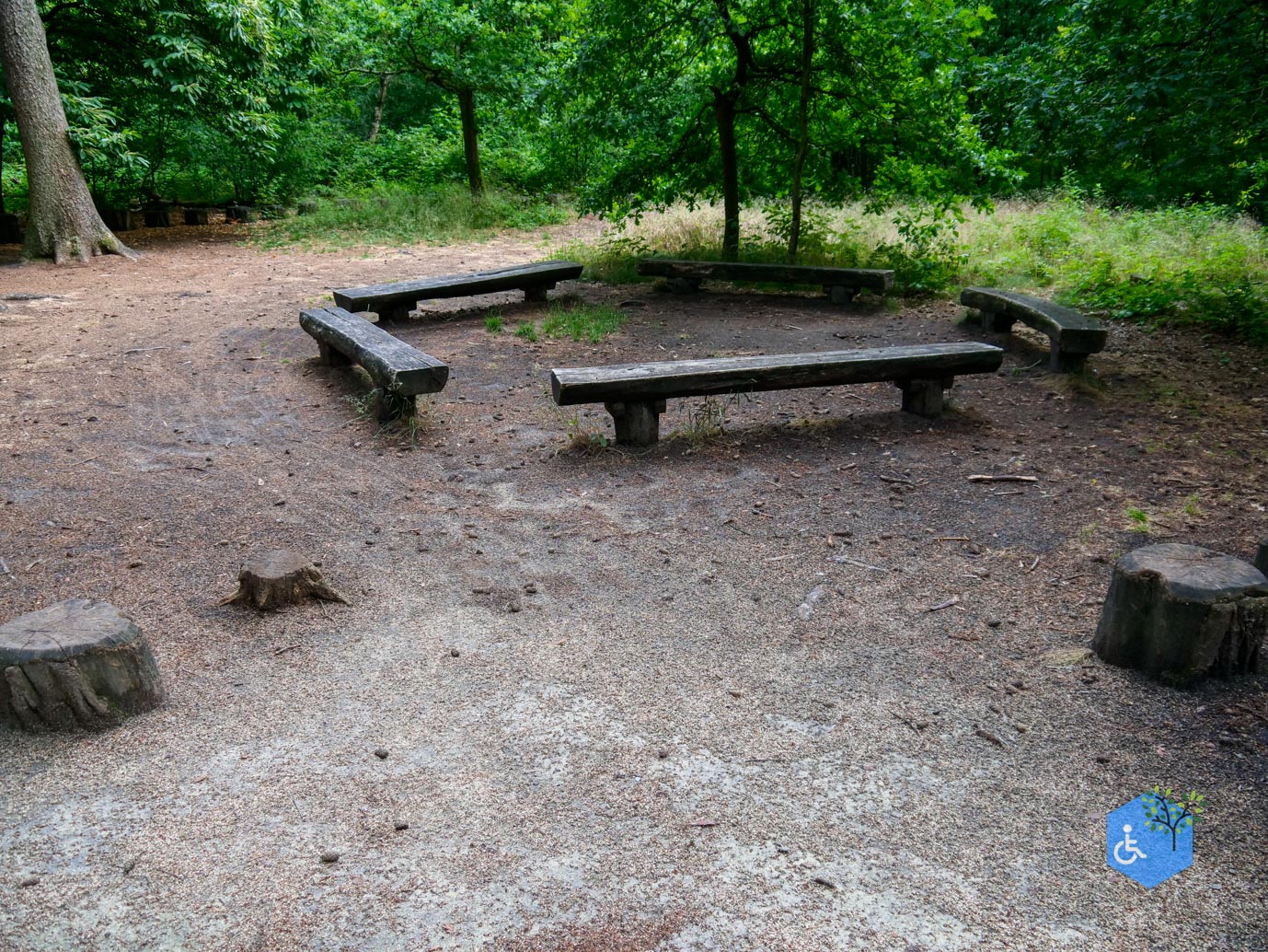Oisterwijk_Wandelroute_Groot_Speijck_23-06-2023-32