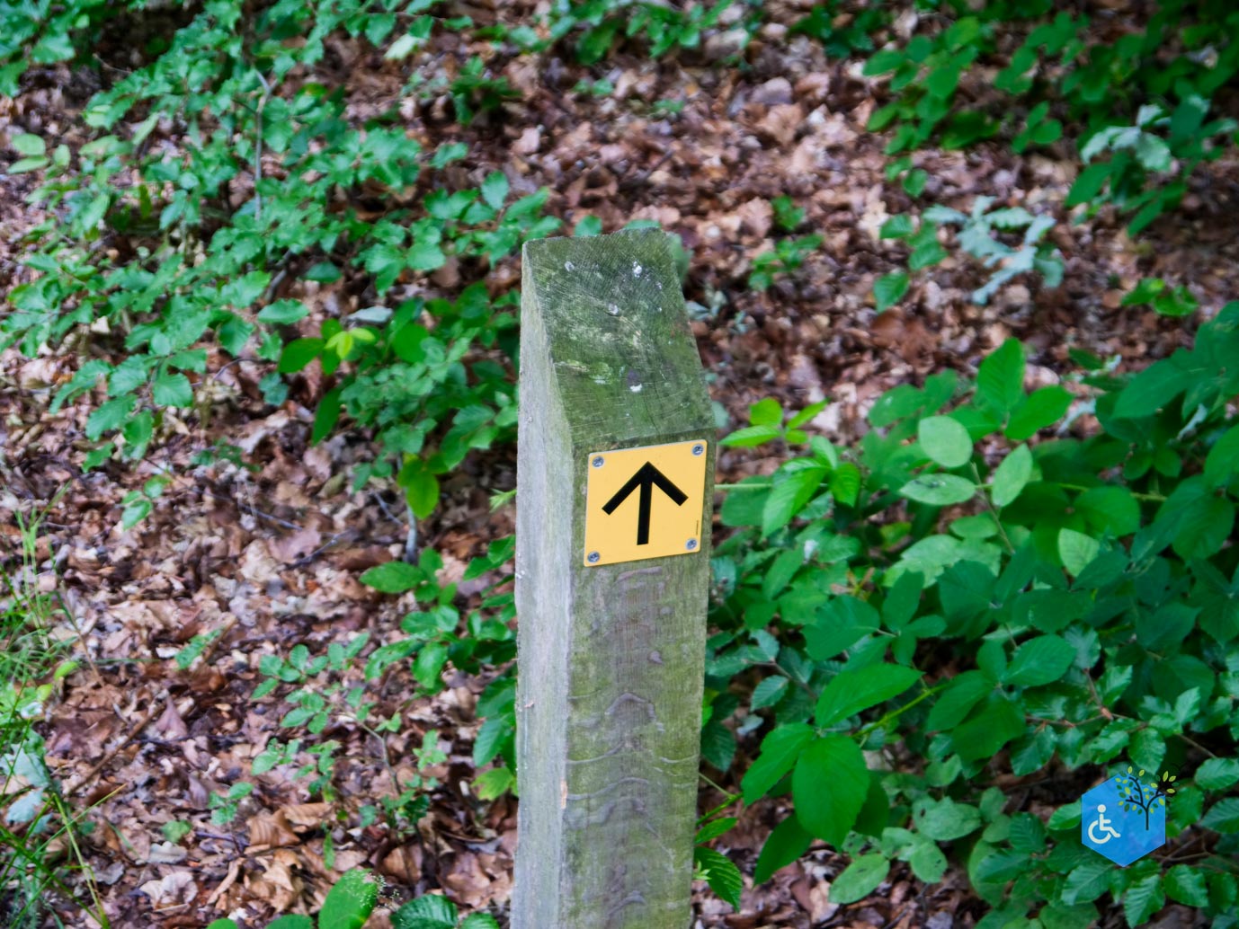 Baarn_Themaroute_Groeneveld_21-07-2023-14