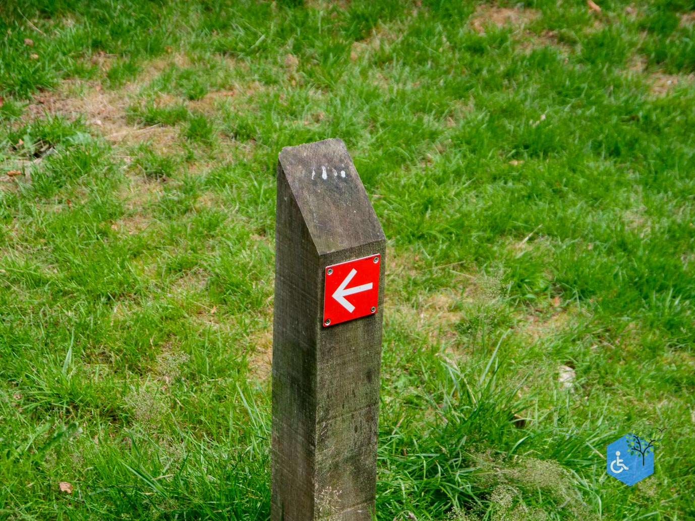 Baarn_Wandelroute_Engelse_Park_21-07-2023-05