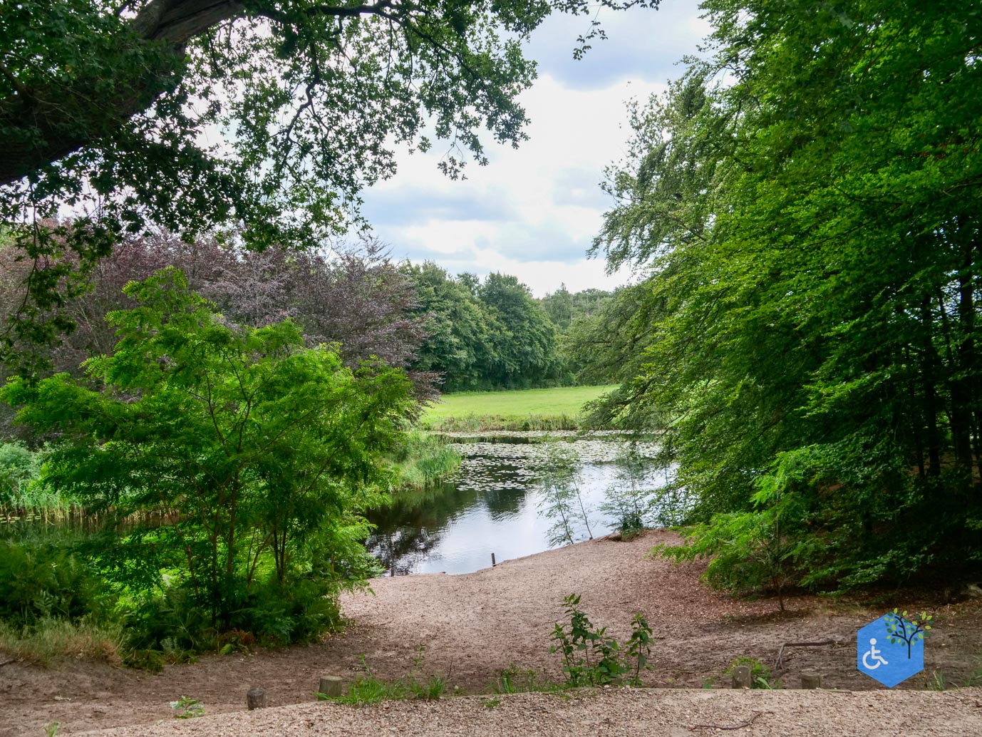 Baarn_Wandelroute_Engelse_Park_21-07-2023-09