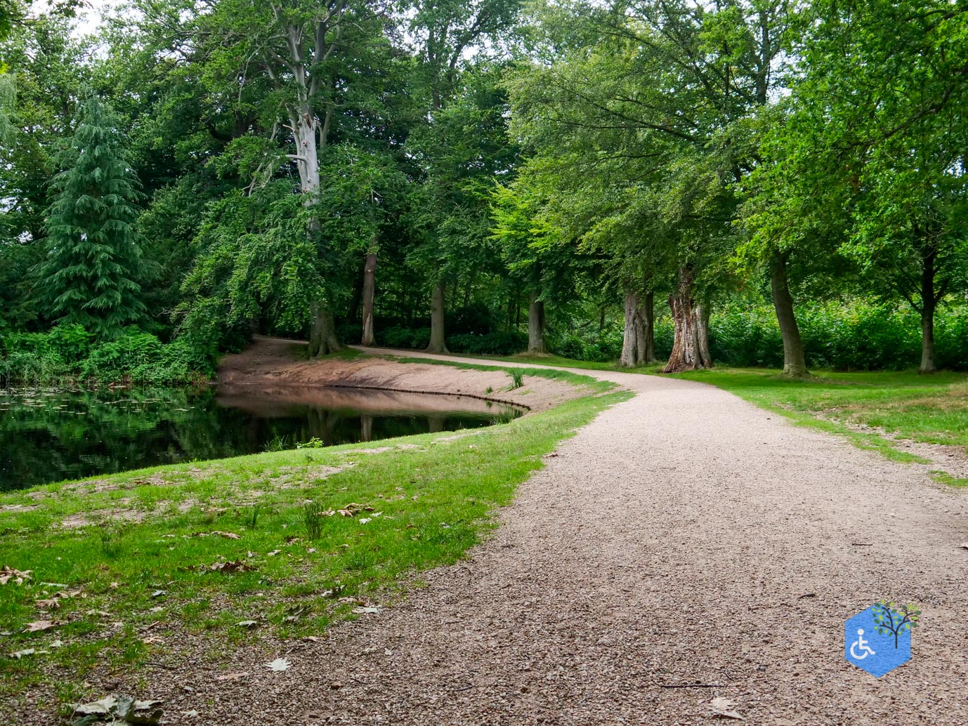 Baarn_Wandelroute_Engelse_Park_21-07-2023-12