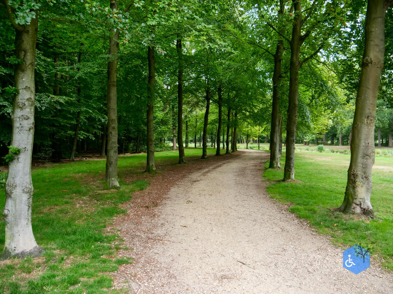 Baarn_Wandelroute_Engelse_Park_21-07-2023-15