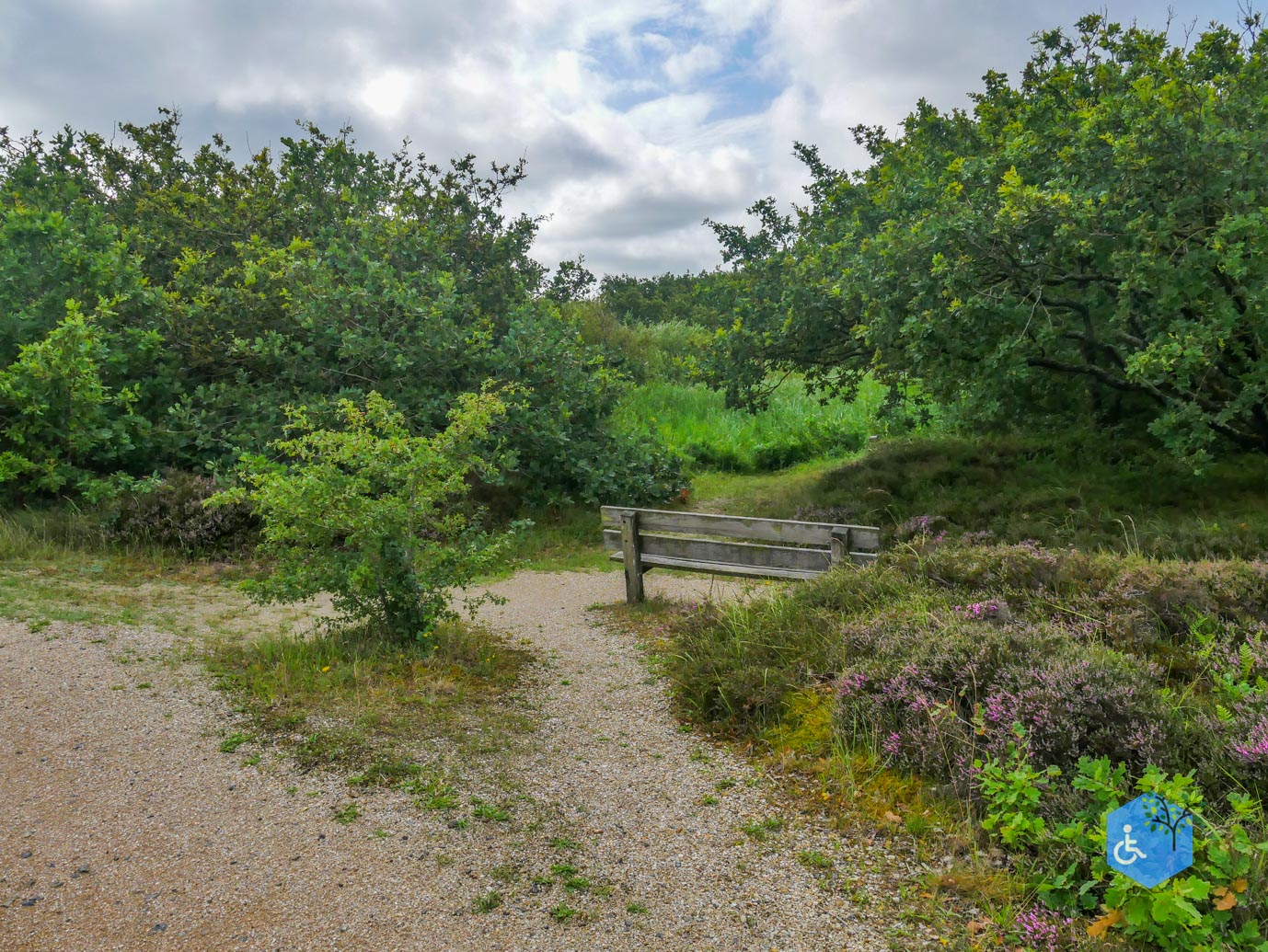 Callantsoog_Zwanenwater_03-08-2023-10