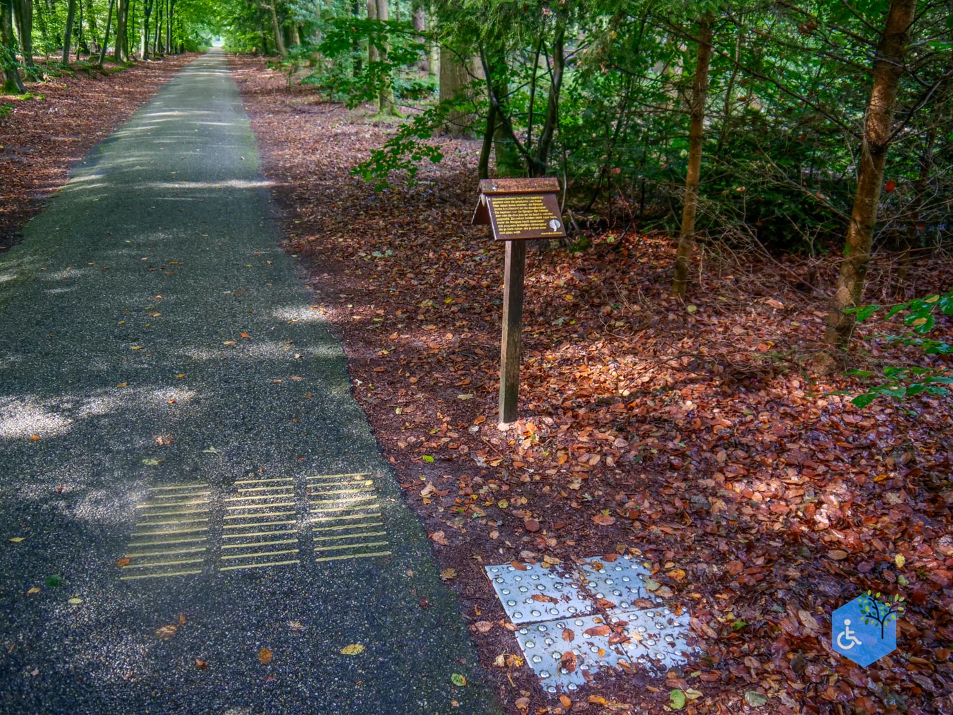 Appelscha_Familiepad_Drents-Friese_Wold_18-09-2023-09