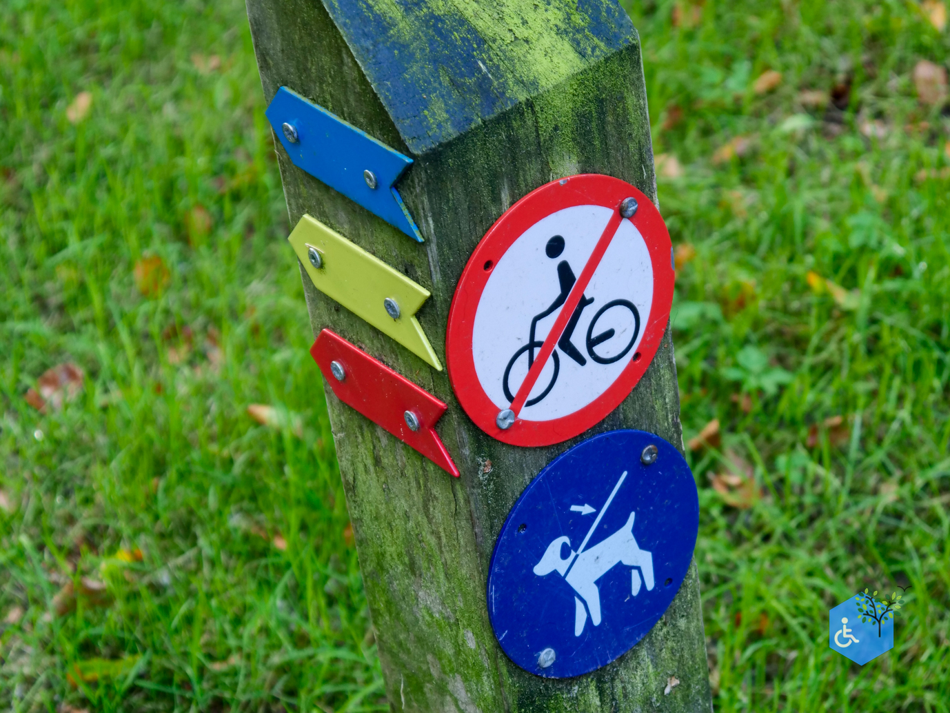 Bakkeveen_Pronkrondje_De_Slotplaats_18-09-2023-07