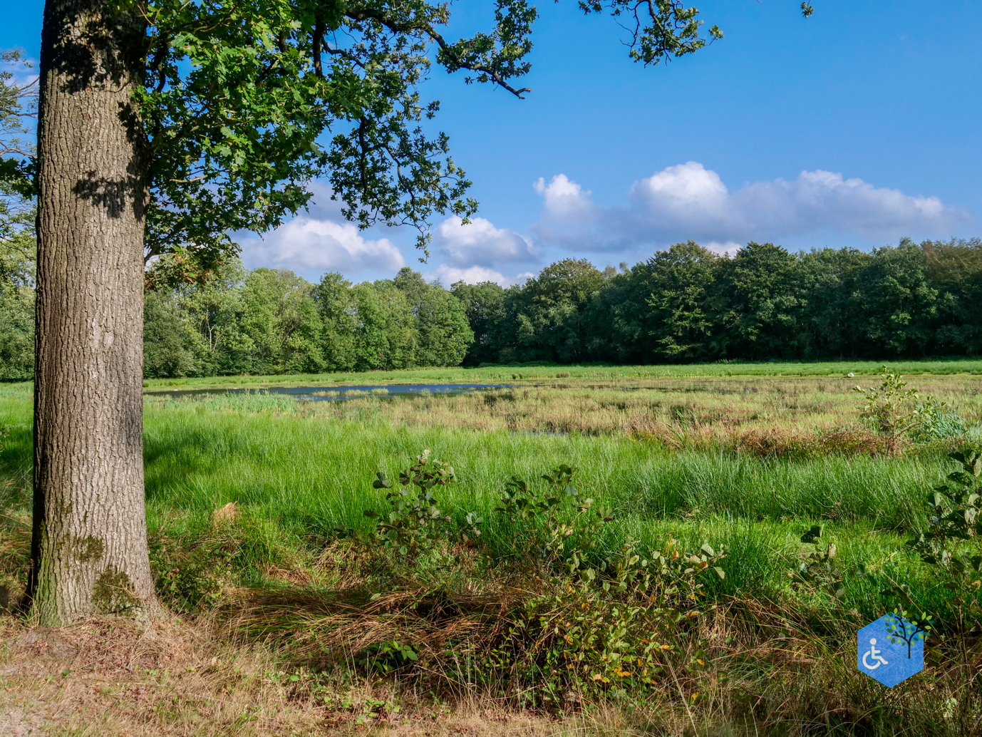 Bakkeveen_Pronkrondje_De_Slotplaats_18-09-2023-17