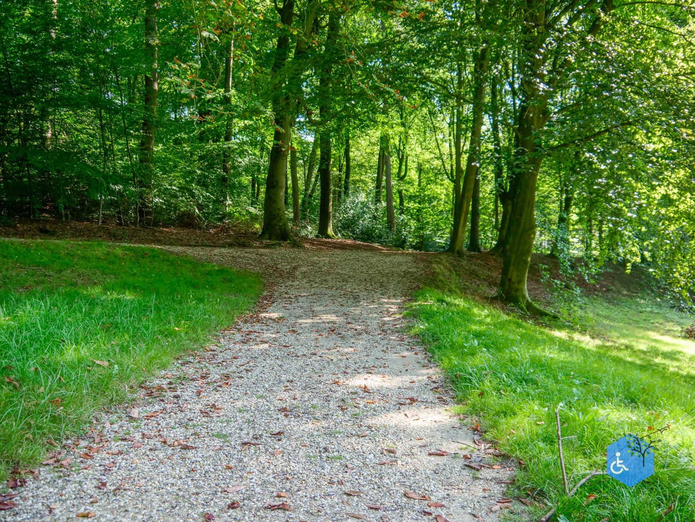 Rozendaal_Kasteelpark_Rosendael_15-09-2023-30