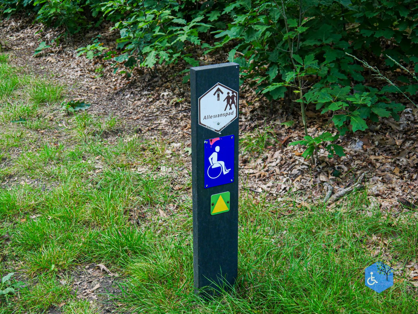 Someren_Allemanspad_Natuurpoort_Vennenhorst_31-08-2023-03