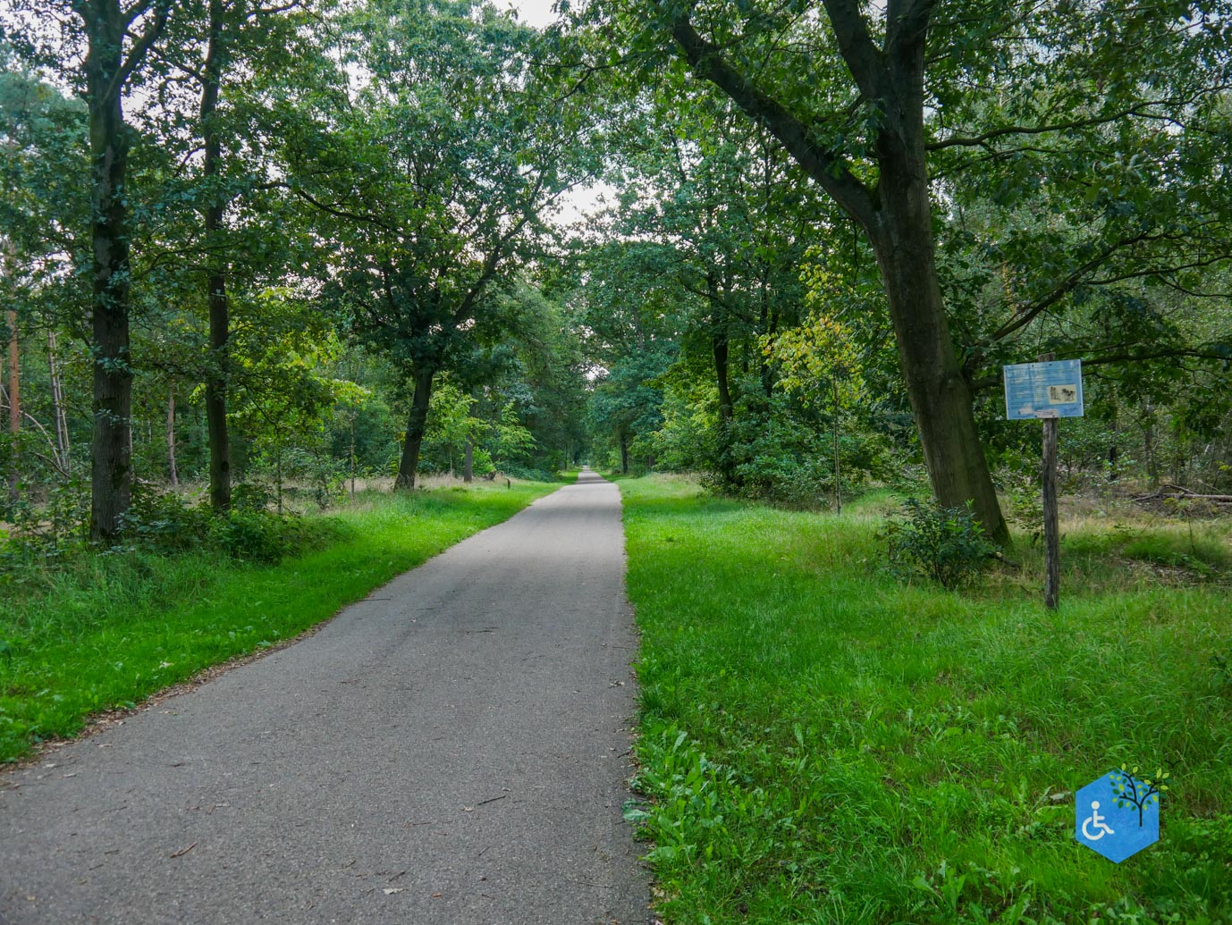 Someren_Allemanspad_Natuurpoort_Vennenhorst_31-08-2023-05